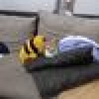 Wulan_Permatasari_9062