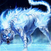 White_tiger_9799