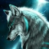 ArcticWolf_2005