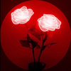 Roses_red