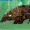 Brass_Badger