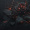 Black_Rose_0227