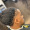 Bilal_Abbas
