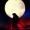 Omar_Perez_3145