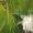 Arnhy_Azzach