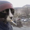 Dotevsk