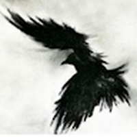 Raven_1391