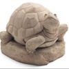 Turtle_Stone