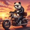 BikerPanda