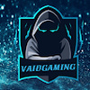 VAID_Gaming