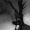 dark_shadow11