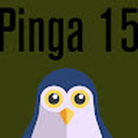 Pinga_15
