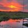 Michael_Bolton_3478