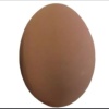 _egg_egg_egg123