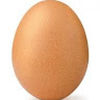 Egg_Lover