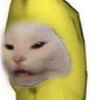 the_banana_catfrfr