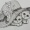 Alexander_0431