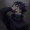 Louse