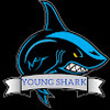 YOUNG_SHARK21