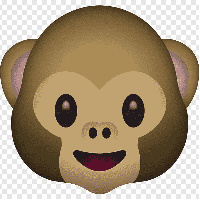 MonkeyBusinesser