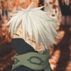 kAkAsHi_L1fe