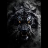 Harvey_3001