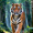 Vicent_Varass_1420