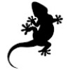 SagGecko