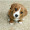 Stanley_Bob