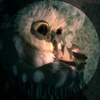 Owlfurret