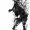 Evolver_33