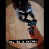 Raccoon_with_a_Gun