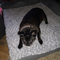 Rochelle_Varner_1903