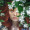 Vardhan_2219
