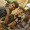 KishoreKaran