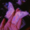 Purple_wings