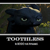 ToothlessFan_892