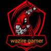 wazire_gamer