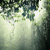 Rain_1658