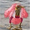 _Doflamingo_
