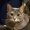 Om_Noms_3941