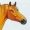 TrustMe_ImWhorse