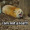Ivone_7324