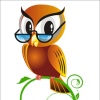 Reading_Owl_5887