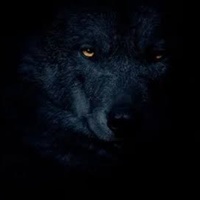 Dark_Wolf_