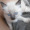 Melany_Torres_7360
