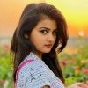 Arpita_Roy_4032