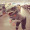 Miiz_Studley