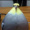 Tendo_01