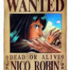 Nico_Robin_2777